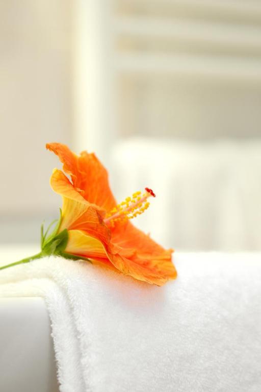 Hotel Le Clos Roussillon Pres De Sarlat Vitrac  Rum bild